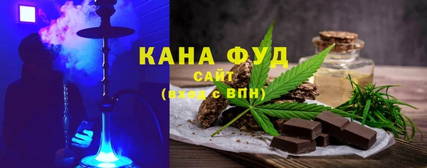 индика Ельня