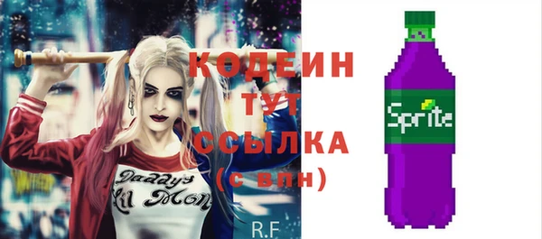 индика Ельня