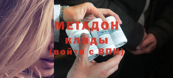 индика Ельня