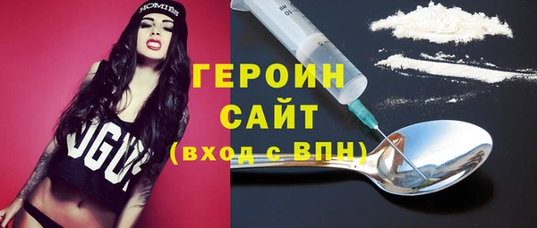 индика Ельня
