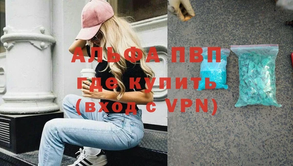 индика Ельня