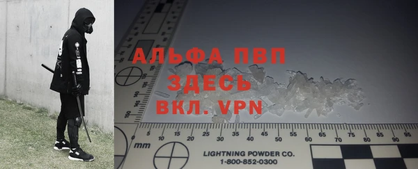 индика Ельня
