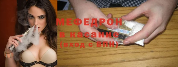 индика Ельня