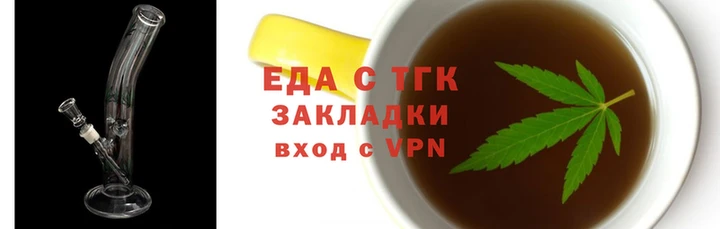индика Ельня