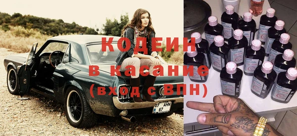 индика Ельня