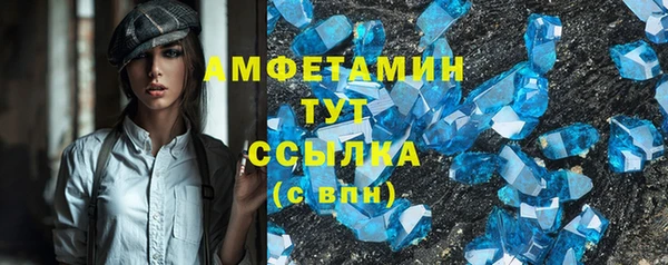 мдпв Дмитриев