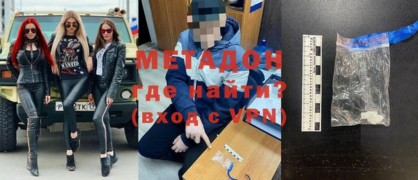 индика Ельня