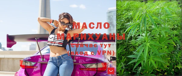 индика Ельня