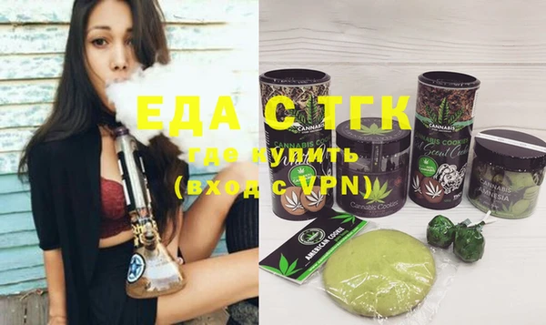 индика Ельня