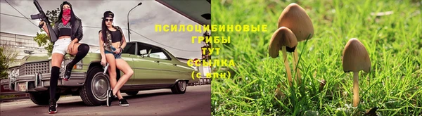марки lsd Елабуга
