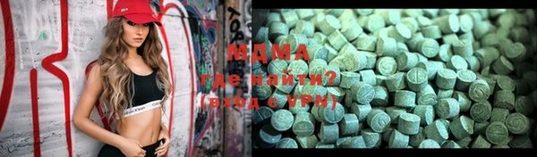 индика Ельня