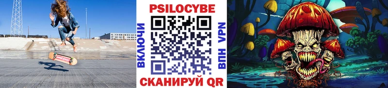 купить наркотики сайты  Калач  Галлюциногенные грибы Psilocybe 